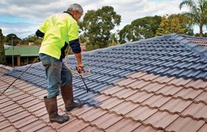 Become a Roof Reviver